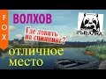 Волхов, отличное место для спиннинга.