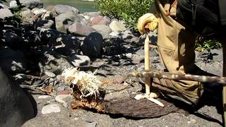 Bow Drill - Grand Fir Sapling
