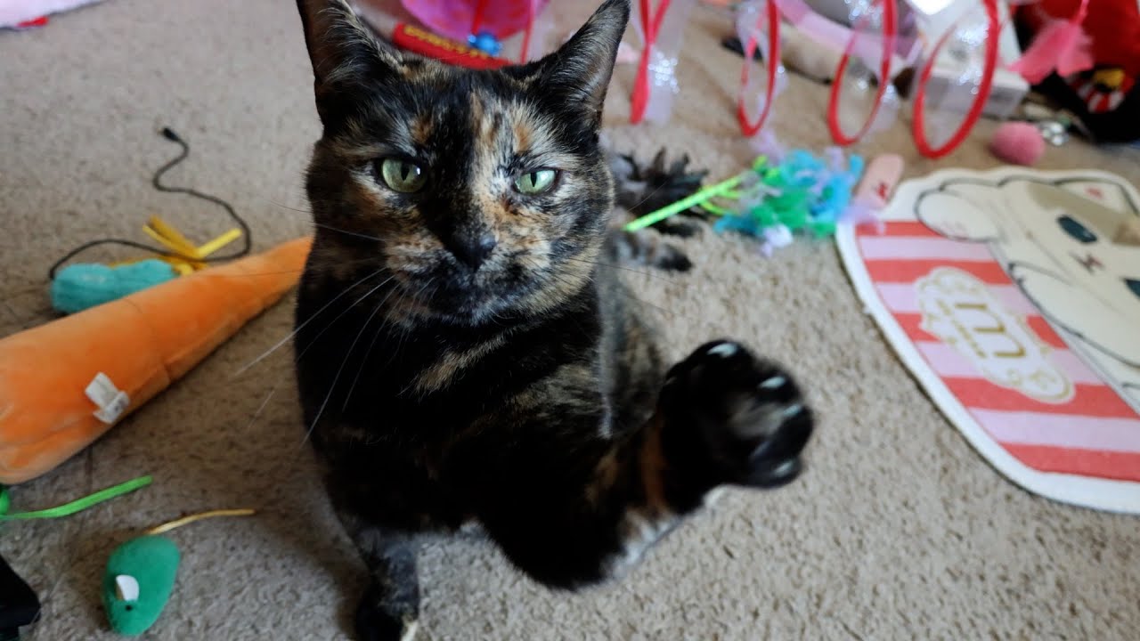 Счастливая ириска