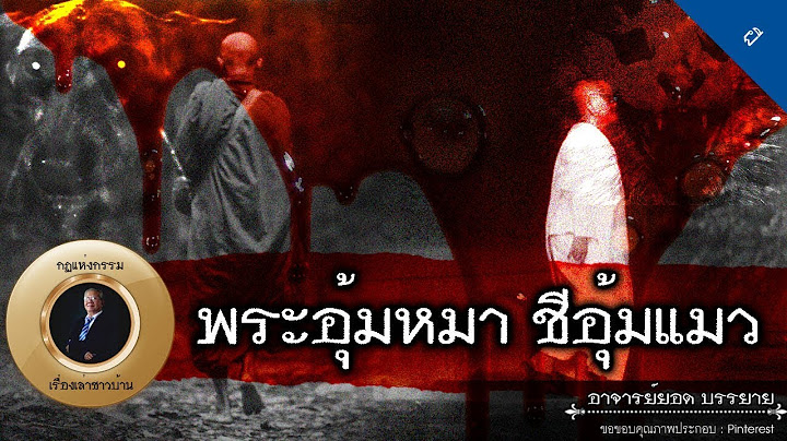 อาจารย์ยอด : พระอุ้มหมา ชีอุ้มแมว [ผี] new