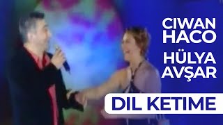 Video thumbnail of "Ciwan Haco - Dil Ketime"