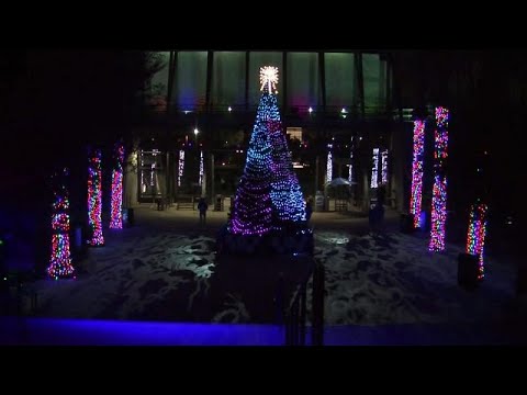 Βίντεο: Χριστουγεννιάτικες παραστάσεις και παραστάσεις στο Λος Άντζελες
