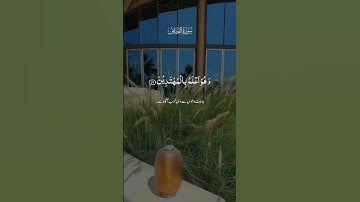 #surahqasas #سورة_القصص ‎#قرآن_كريم #تلاوة #سورة #سبحان_الله #صباح_الخير #راحة_نفسية