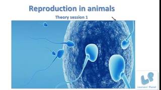 Online Video Lessons on Reproduction in Animals Theory Session for class 8 TS 1 Online Video Lessons on Reproduction in Animals Theory Session for class 8 TS 1