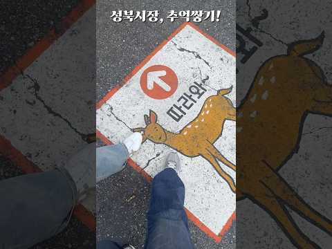 성북시장, 추억쌓기! #성북구 #성북구전통시장 #성북구골목형상점가 #shorts