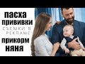 ПЕРВАЯ ВЕСНА СЭМА // Пасха, съемки и прививки