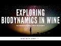 Exploring Biodynamics Part 1 - Introduction and History