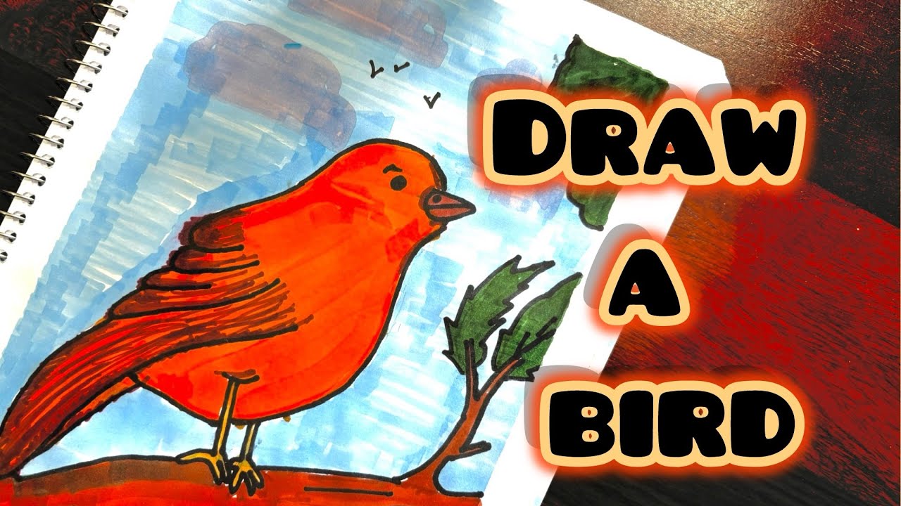How to draw a bird | Easy bird tutorial 