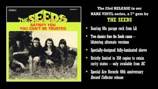 Video thumbnail of "THE SEEDS - Satisfy You (alternate version)"