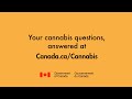 Your cannabis questions, answered. Driving. (0:16)