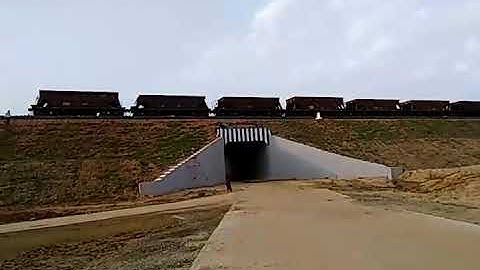Goods train   at pachamba in koderma -giridih rail line