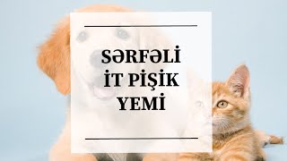 İt Və Pi̇şi̇kləri̇mə Hansi Yemi̇ Veri̇rəm?