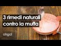 Come eliminare la muffa da muri e piastrelle: 3 rimedi naturali antimuffa