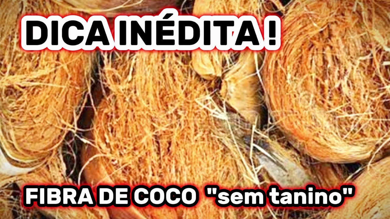 Como tirar o Tanino da Fibra de Coco