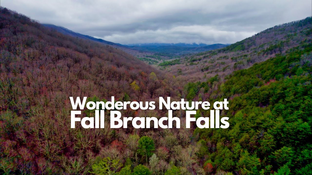 Forest & Fantasy Hiking Fall Branch Falls In Ellijay, (BMT