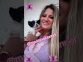 #chihuahua #chihuahuababy #veterinária #criadora #cachorro #cães #cute #pets