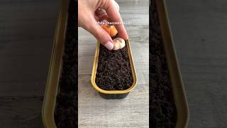 Would You Try This Dirt Cake easyrecipe recipe