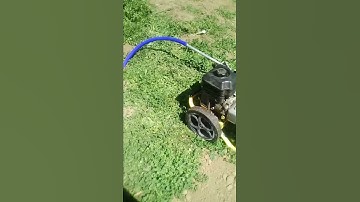 Pocket Gopher Gassing