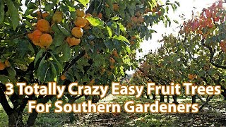 3 Totally Crazy Easy Fruit Trees For Southern Gardeners