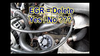 EGR = Delete or Not     YES / NO    Learn how to from my mistakes!