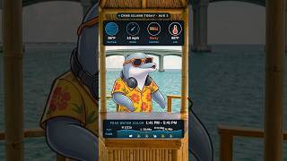 August 3 | Crab Island Destin FL | Daily Weather Conditions | #Shorts #CrabIsland #Destin