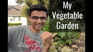 My Vegetable Garden