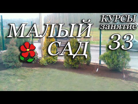 Видео: Как сделать маленький сад больше - Как сделать так, чтобы ваш сад выглядел большим