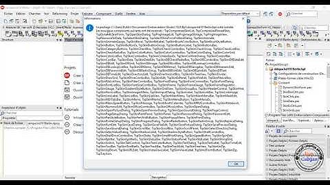 How to Install Dynamique Skin Form in Delphi 10.1