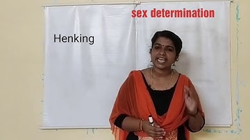 class XII Biology chapter 5 || principles of inheritance and variation|| part 3