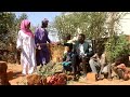 الترس محمد تيراب