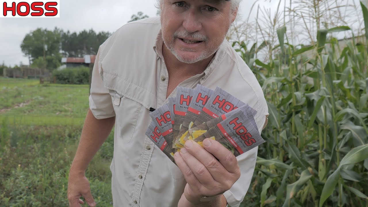 How Many Watermelons Do You Need To Plant?