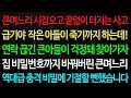 [따뜻한 이야기]큰며느리 시집오고 끝없이 터지는 사고 급기야 작은 아들이 죽기까지 하는데! 연락 끊긴 큰아들이 걱정돼 찾아가자