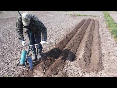 Video: How To Plow With A Cultivator? How To Work With A Motor Cultivator Correctly? Preparation For Work. Adjusting The Plowing Depth