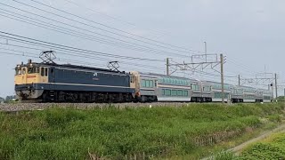 【甲種輸送•広角ver】 EF65-2083+横須賀線E235系 グリーン車4両 岡部～本庄通過