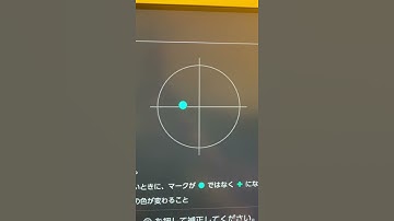 Switch Joy-Con broken behaviors [Correction Settings]