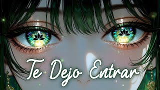 Nightcore→Te Dejo Entrar (Ventino)