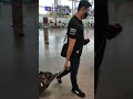 Bangalore airport now equipped with Robots to help passengers. #bangalore #india #technology