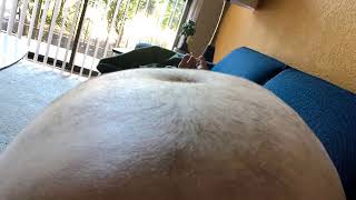 Fat Morph 009