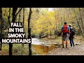 Autumn at Great Smoky Mountains National Park