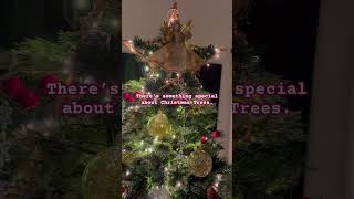 Beautiful Christmas Trees at my brother in law, Guna’s and our friends’ John \u0026 Laura’s homes.