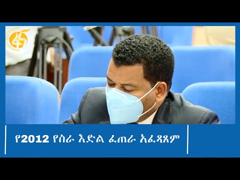 የ2012 የስራ እድል ፈጠራ አፈጻጸም