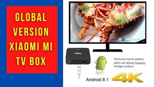 Global Version Xiaomi Mi TV Box |  [Android TV Box Review]