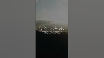 تلاوة خاشعة مع آيات مختارة من القرآن الكريم #75