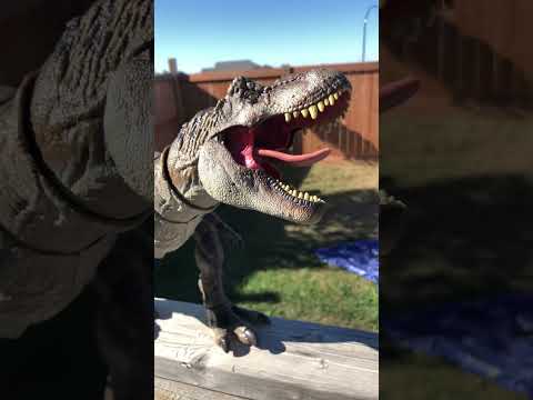 Rexy