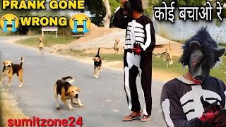 Ghost prank on Dog 😂 || scary ghost prank funny reactions |