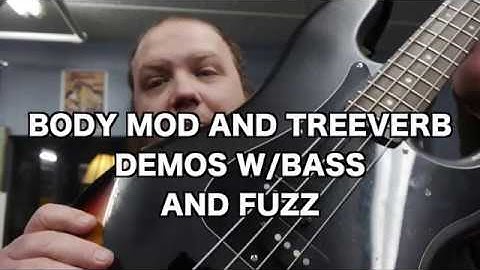 Dwarfcraft Treeverb, Body Mod, w/ Bass, Fuzz