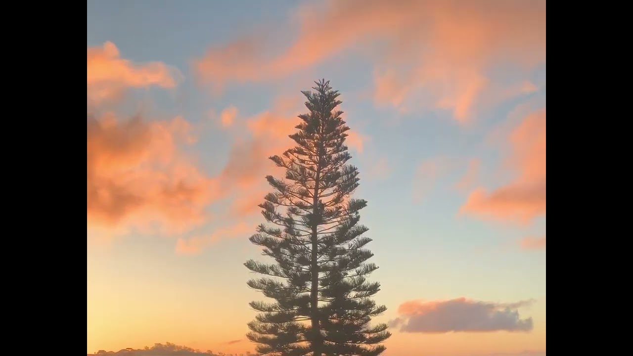 Sunrise at Château Montrosé Jan 1, 2023