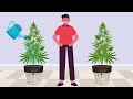 To Flush or Not to Flush? Myth vs Science!