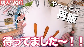 ディズニーランドの絶品グルメがやってきた グローブシェイプパオのクッション再販 Youtube