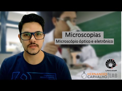 Vídeo: Qual estrutura provavelmente seria visível com um microscópio eletrônico, mas não com um microscópio óptico?